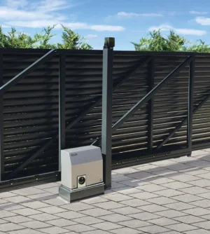 Motoriduttore 230V C851